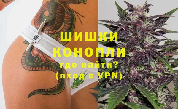 гидра Алзамай
