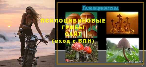 молекула духа Алексин