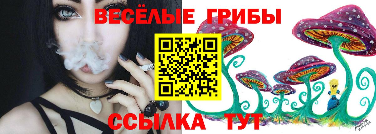 Псилоцибиновые грибы Psilocybe Моздок