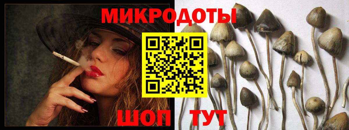 Галлюциногенные грибы MAGIC MUSHROOMS  Вход с VPN  Моздок  Галлюциногенные грибы Cubensis 