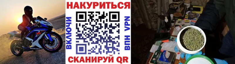 Шишки марихуана сатива  что такое   Моздок 